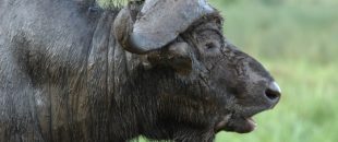 ????????????????????????????????????